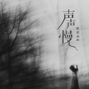 Dengarkan 声声慢 (女声版伴奏) lagu dari 旺仔小Q dengan lirik