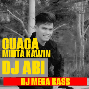 DJ Abi的专辑Cuaca Minta Kawing