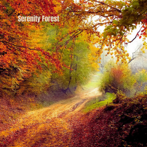 The Harmony的专辑Serenity  Forest