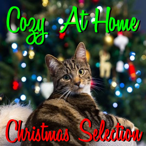 Listen to A Cradle In Bethlehem song with lyrics from Nat King Cole