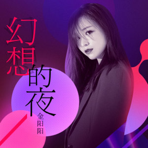 Listen to 幻想的夜 (纯音乐) song with lyrics from 金阳阳