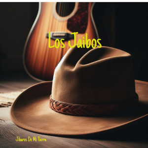 ดาวน์โหลดและฟังเพลง Enfermo pero del Bolsillo พร้อมเนื้อเพลงจาก Los Jaibos