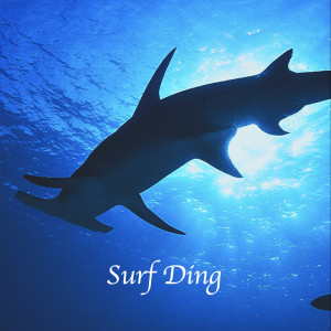 Album Surf Ding (Explicit) from E+