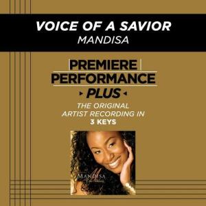 Voice Of A Savior (Performance Tracks) - EP