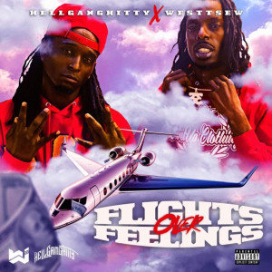 Album Flights over Feelingz (Explicit) from Westtsew
