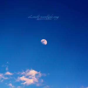 Miracle Piano的专辑Lonely moonlight song