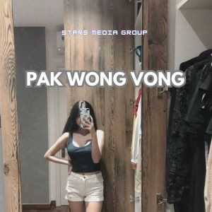 收聽Riki Mahendra的PAK WONG VONG (Remix)歌詞歌曲