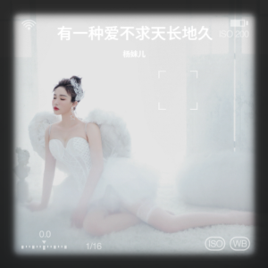 Album 不求天长地久 from 