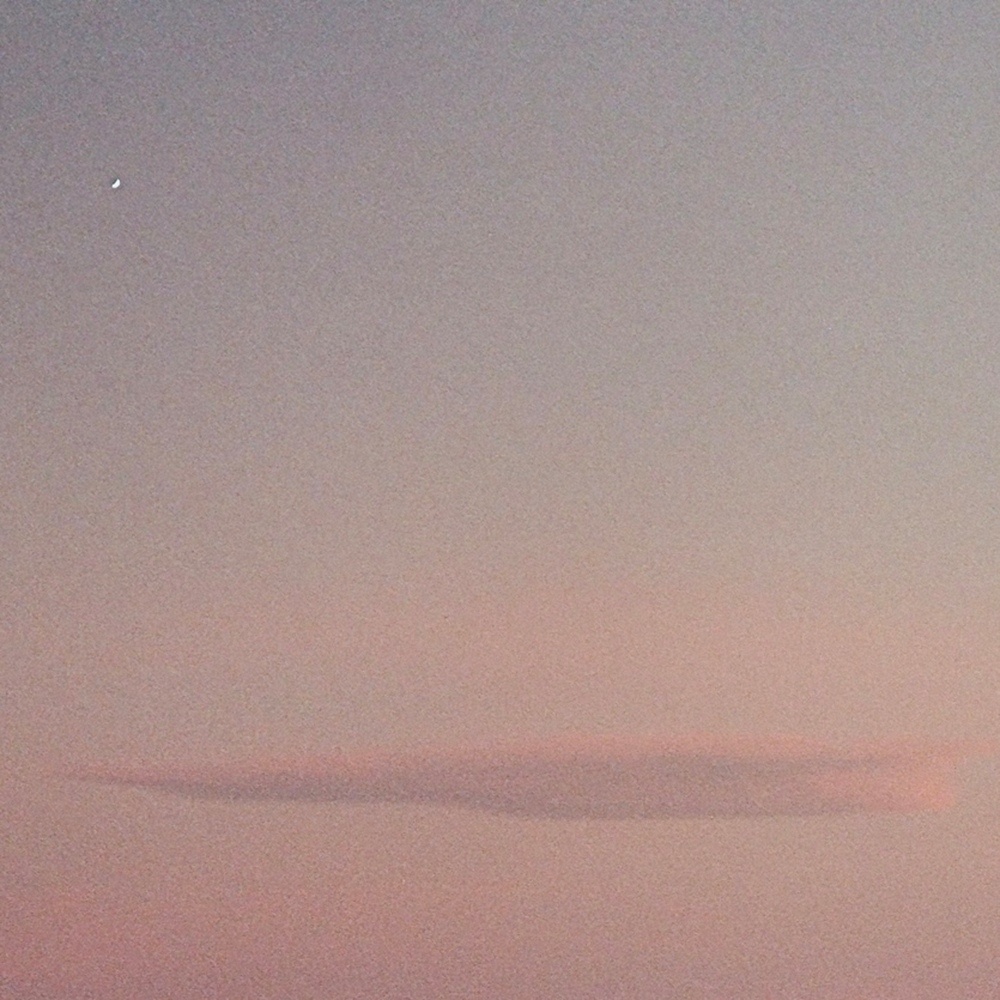 Mauve