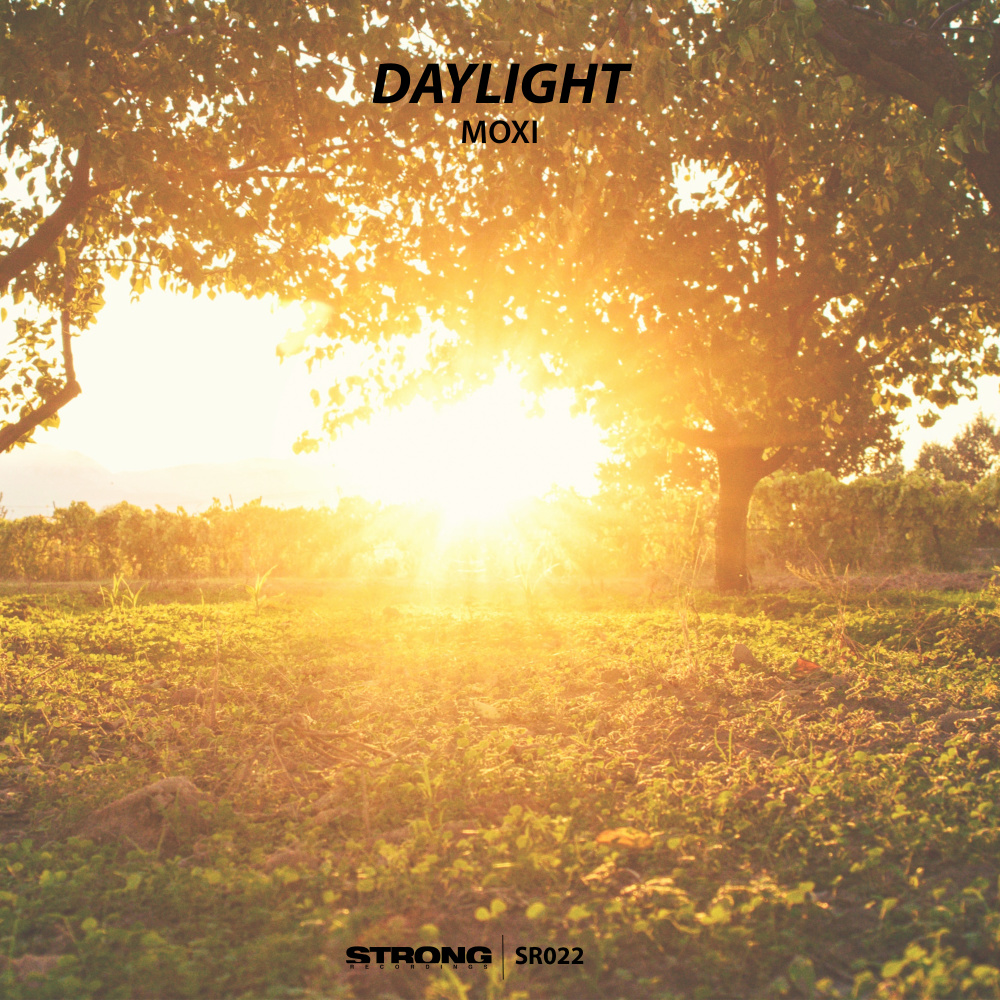 Daylight (Extended Mix)