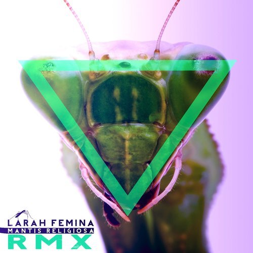 A Puerta Cerrada (Remix) (Remix Porducido por Oliztyle) (Explicit) (Remix Porducido por Oliztyle|Remix|Explicit)