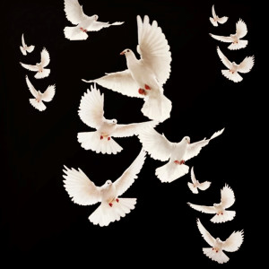 ดาวน์โหลดและฟังเพลง Foreal Interlude (Explicit) พร้อมเนื้อเพลงจาก Tympest