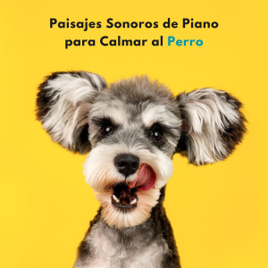 Album Paisajes Sonoros De Piano Para Calmar Al Perro oleh Piano Suave Relajante