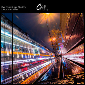 ดาวน์โหลดและฟังเพลง Lunar Memories พร้อมเนื้อเพลงจาก MyceliumBug
