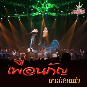 อัลบัม เพื่อนกัญ - Single ศิลปิน มาลีฮวนน่า