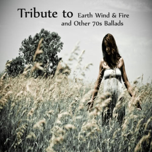 ดาวน์โหลดและฟังเพลง Let's Stay Together พร้อมเนื้อเพลงจาก Acoustic Guitar Tribute Players