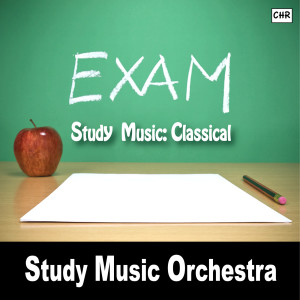 ดาวน์โหลดและฟังเพลง Canon in D พร้อมเนื้อเพลงจาก Study Music Orchestra