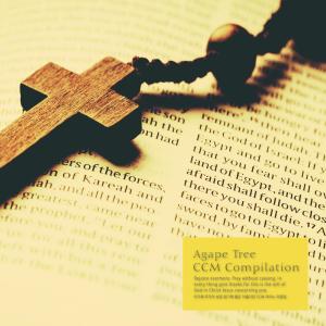 A beautiful CCM piano collection good for reading the Bible of Agape Tree dari Various Artists