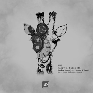 收聽Javier Gonzalez的Mr. Harry & Poter (Original Mix)歌詞歌曲