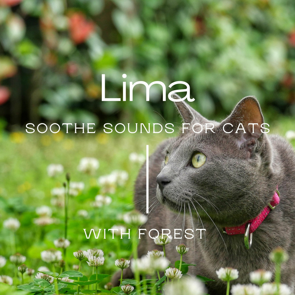 Lima