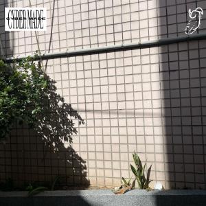 收聽Drogas的Cash & Money (speed up)歌詞歌曲