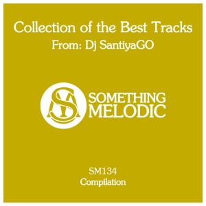 Album Collection of the Best Tracks From: DJ Santiyago from 