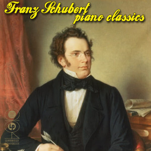 ดาวน์โหลดและฟังเพลง Moments Musicaux, Op. 94, D.780, No. 3 In F Minor พร้อมเนื้อเพลงจาก Dubravka Tomsic