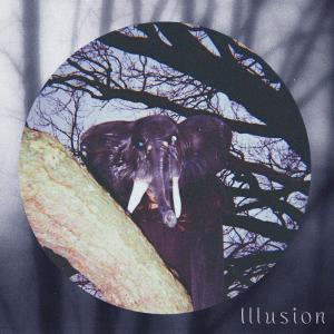 Album Illusion oleh Hart