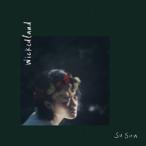 Listen to madness of two(folie à deux) song with lyrics from Su San