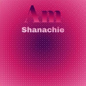 Various的专辑Am Shanachie