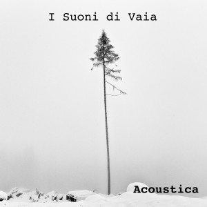 Acoustica的專輯I Suoni Di Vaia