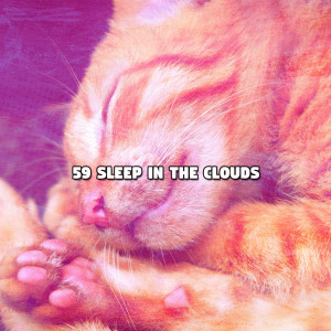 59 Sleep In The Clouds dari White Noise