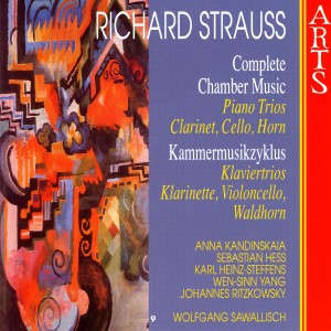 收聽Wolfgang Sawallisch, Sebastian Hess & Anna Kandinskaia的Trio Nr. 2 (D-Dur) Für Clavier, Violine Und Violoncello, Op. AV53: II. Andante Cantabile Ma Non Troppo (Strauss)歌詞歌曲