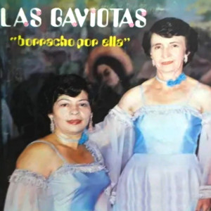Borracho Por Ella dari Las Gaviotas