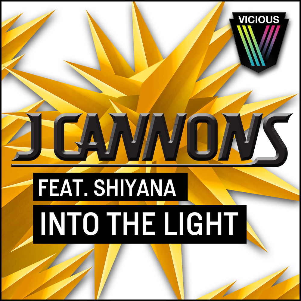 Into The Light (Steve Hart Remix)