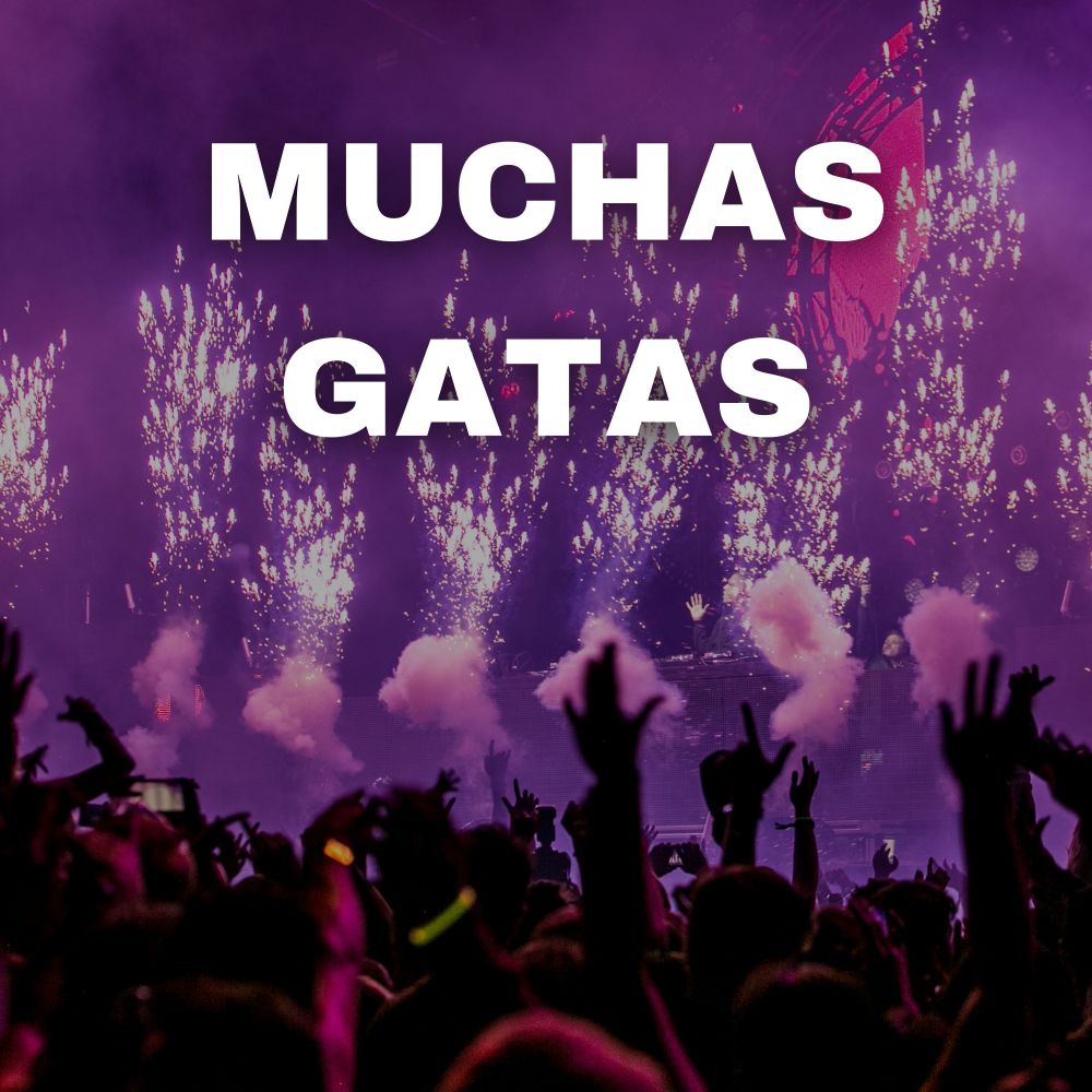 Muchas Gatas