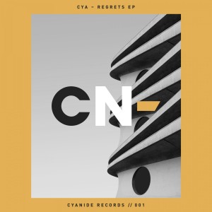 ดาวน์โหลดและฟังเพลง Regrets (Radio Edit) พร้อมเนื้อเพลงจาก CYA