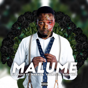 收聽DJ Radix的Malume (Explicit)歌詞歌曲