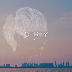 SU的專輯Cry