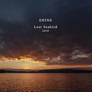 Listen to Lost Seabird song with lyrics from Enine