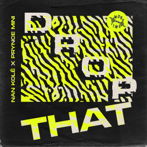 Listen to Drop That song with lyrics from Nan Kolè