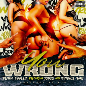 Listen to You Wrong (Explicit) song with lyrics from Pimpn Smallz