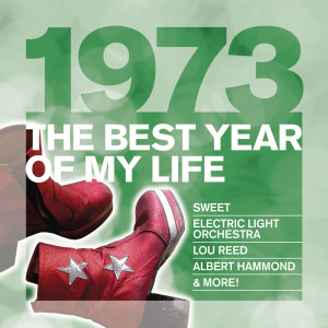 ดาวน์โหลดและฟังเพลง Rock On พร้อมเนื้อเพลงจาก David Essex