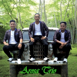 Dengarkan lagu Anakni Raja Boruni Raja nyanyian Arosa Trio dengan lirik