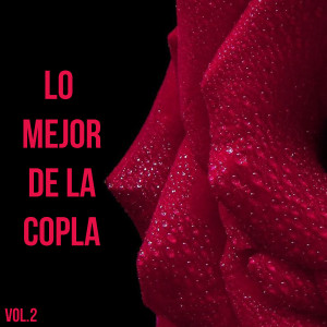 Listen to El abuelo Victor song with lyrics from Victor Manuel