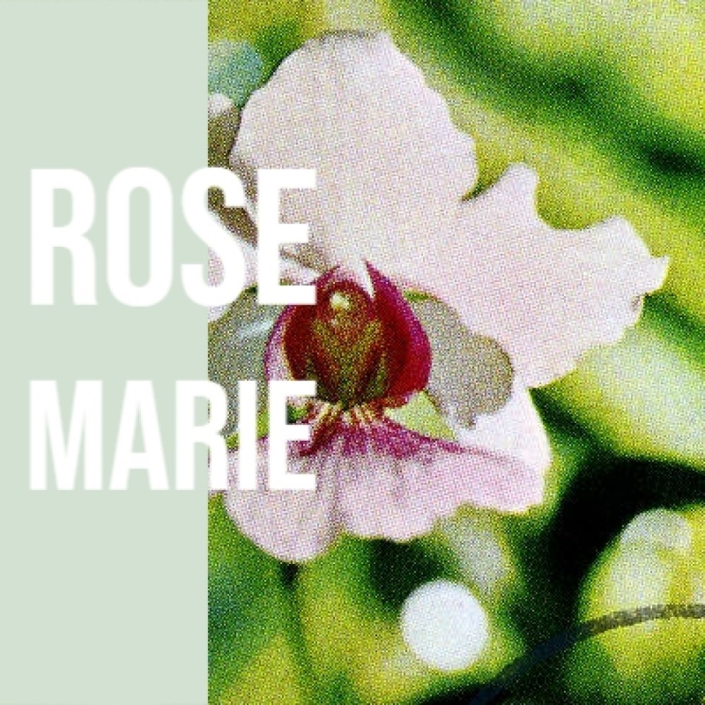 Rose Marie