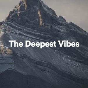 New Age的专辑The Deepest Vibes