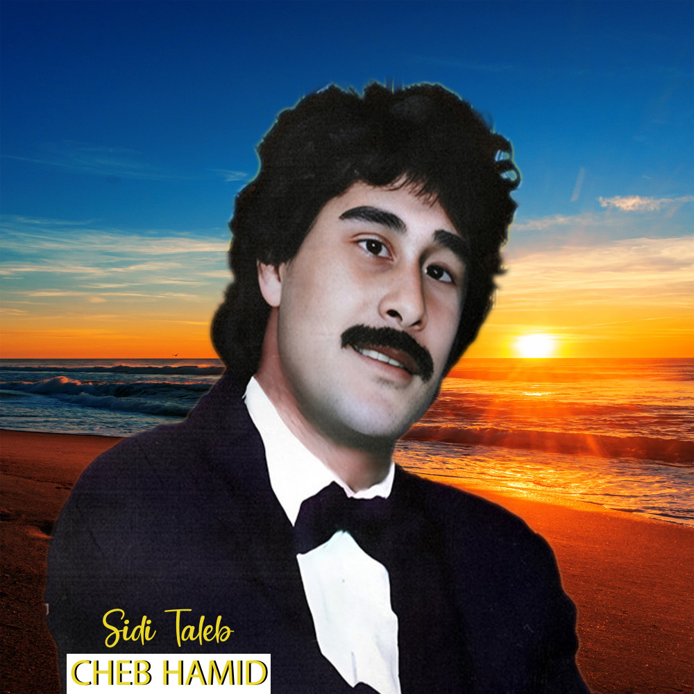 Sidi Taleb