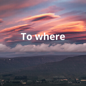 Album to where from Cardoso