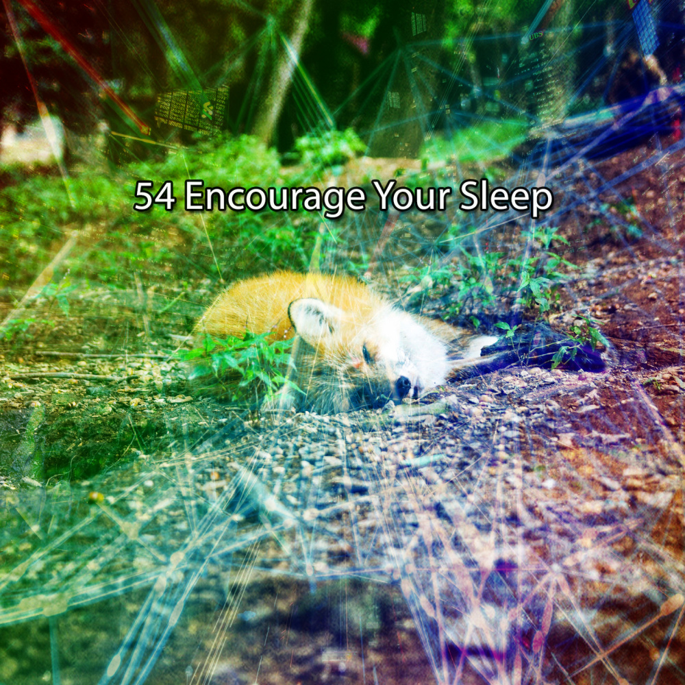 Beautiful Dreaming